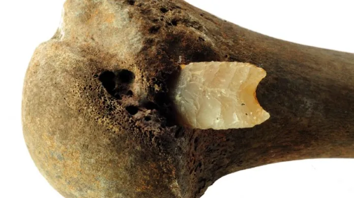 Pazourkový hrot šípu zabodnutý hluboko do kosti nalezený u Tollense