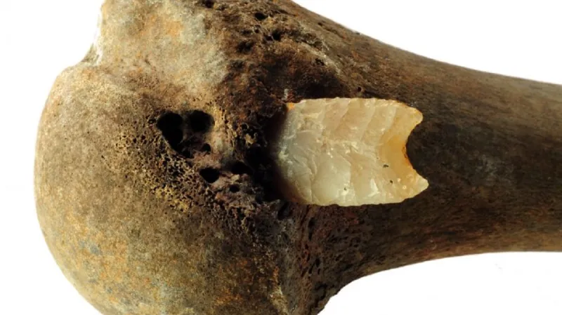 Pazourkový hrot šípu zabodnutý hluboko do kosti nalezený u Tollense