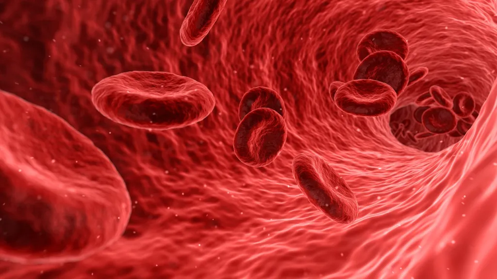 Životní formy před dvěma miliardami lety nemusely mít červené krvinky