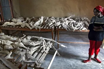 Během 100 dnů vraždění zmizela pětina rwandské populace