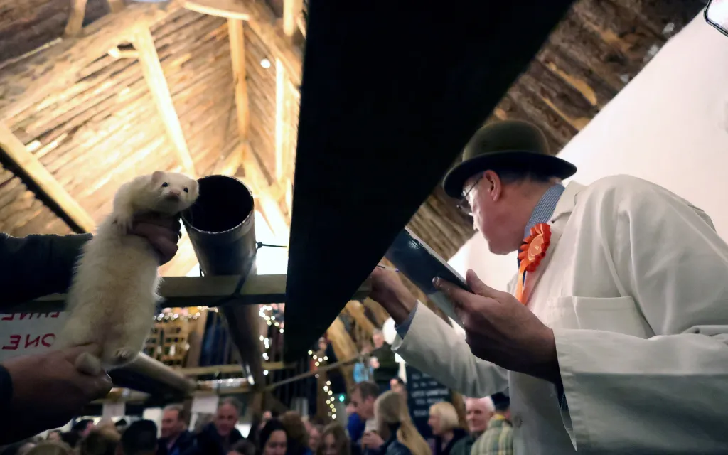 Zvířecí závodník před svým startem