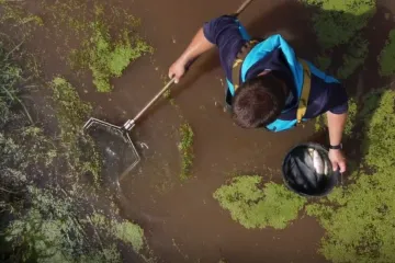 Na Trutnovsku voda s bahnem na farmě udusila tisíce ryb