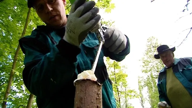 Instalace pěny na bázi repelentu, který odpuzuje zvěř