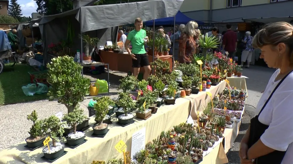 Přehlídka květin na akci Krakonošova tržnice