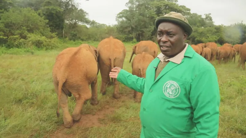 Šéf strážců ukazuje zranění, které slůněti jménem Lugad způsobili pytláci