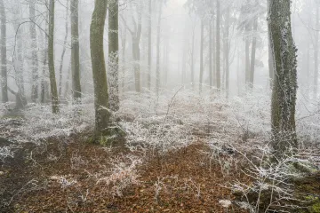 S víkendem se očekává ochlazení, další týden pak zase oteplení