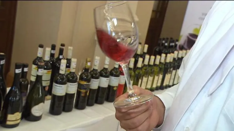 Rozhovor s Pavlem Vajčnerem