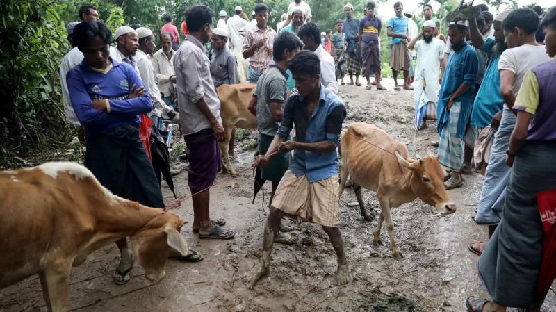 Rohingští uprchlíci