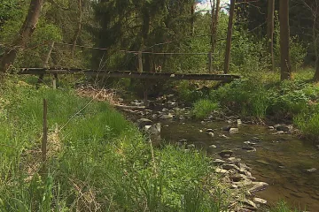 Vznik vodní nádrže zničí život v Moravském krasu, varují ochránci. Teď stavět nebudeme, říká povodí  