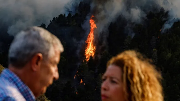 Lesní požár na Gran Canarii