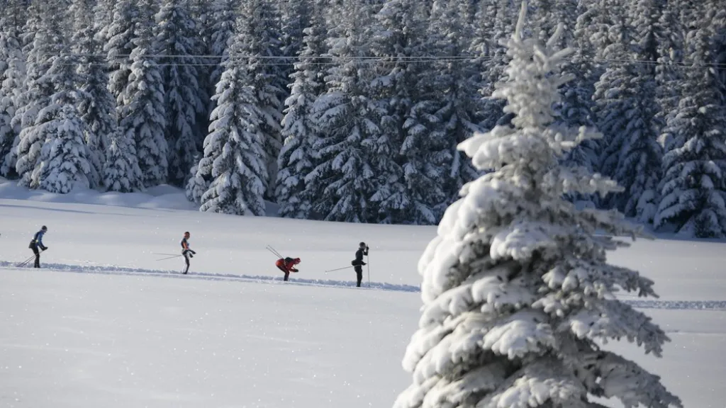 Běžkaři v Jizerských horách
