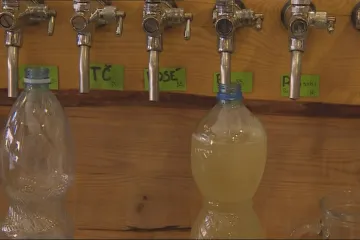 Honí nás po úřadech, stěžují si malí vinaři. Kontroly ale ničí falšovatele vín