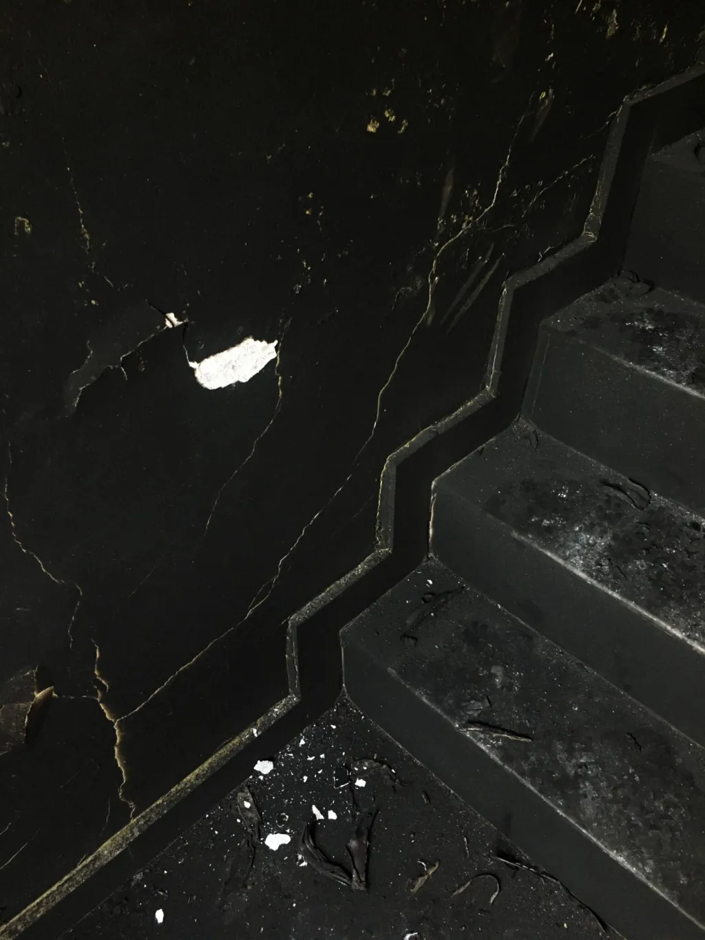 Zákon umožňoval zahrnutí hinduistů a dalších nemuslimů, kteří nebyli schopni prokázat svůj občanský status, do Indického národního registru občanů. Zákon ale vynechal možnost registrace muslimů. V důsledku toho došlo v oblasti k nepokojům a sektářskému násilí