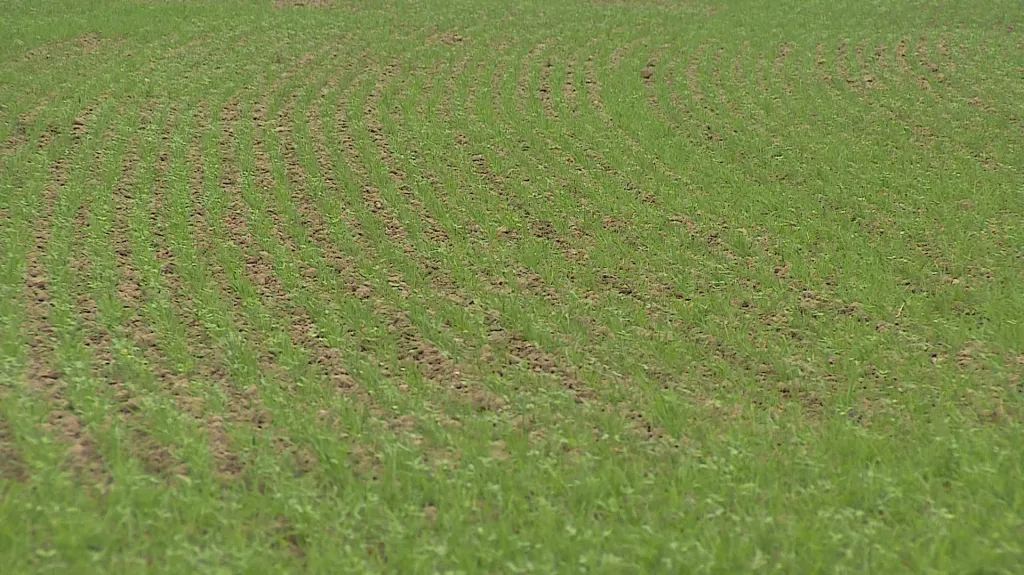 Na ekologické farmě sucho téměř nepocítili