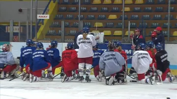 České hráčky vybojovaly vloni postup mezi hokejovou elitu