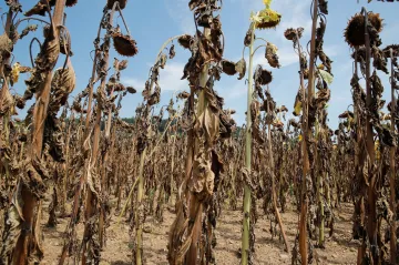 Co se změnami klimatu? Zapojit se musí každý, konzumní Západ to ale bude víc bolet