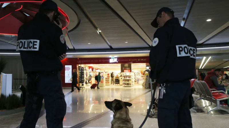 Francouzské policie