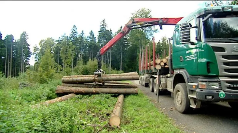 Reportáž Vandy Kašové