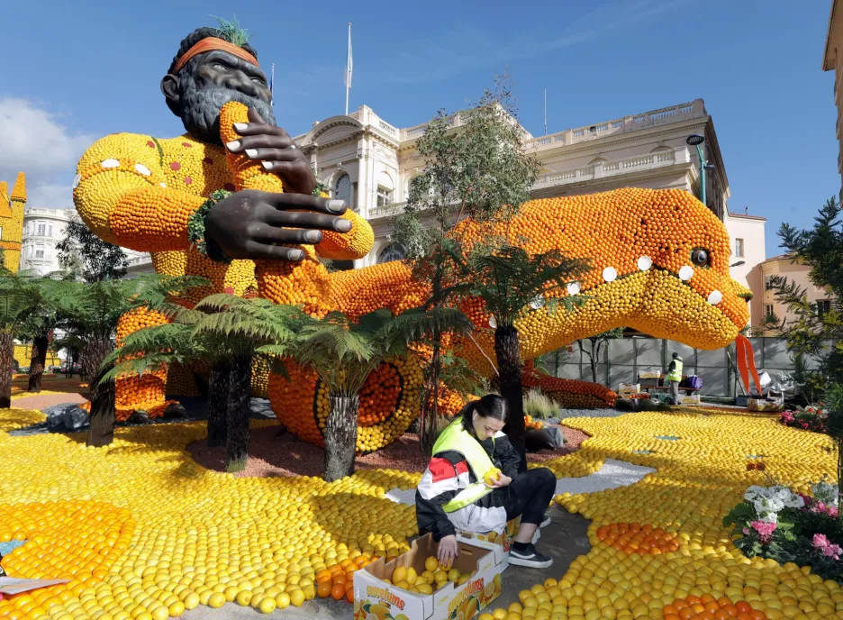 Sochy vytvořené z citronů a pomerančů jsou součástí festivalů citrusů ve francouzském městě Menton