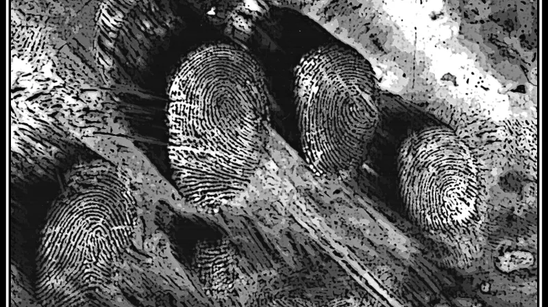 Jana Charouzková – Daktyloskopická stopa trochu jinak - 1. místo: Fotografie vznikla při běžné pracovní činnosti. Stopa z místa činu byla zviditelněna daktyloskopickým práškem a zajištěna na černou želatinovou fólii. Při dobrém nasvícení a expozici vynikla v celé své kráse. Malá úprava filtrem umocnila prostorový vjem.