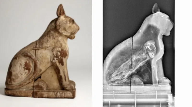 Podvržená mumie kočky