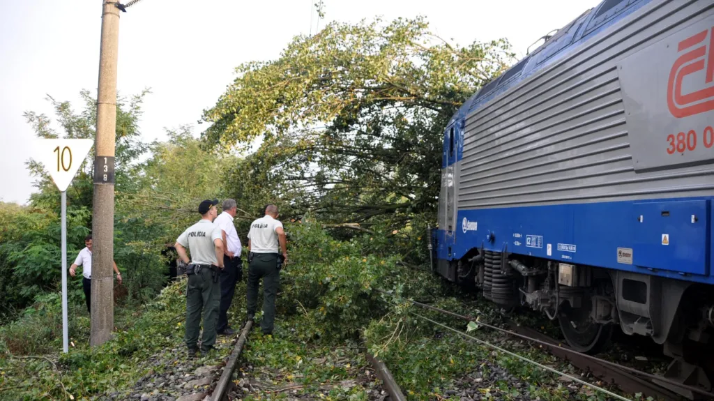 U hranic narazil vlak do stromu