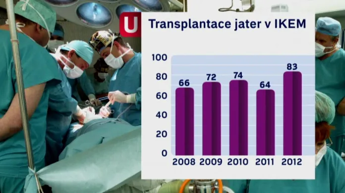 Počet transplantací jater