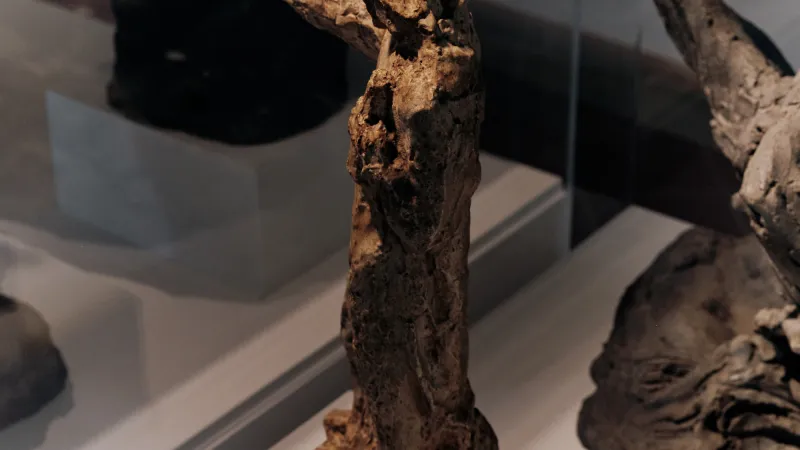 Expozice Cesta k Předsíni chrámové