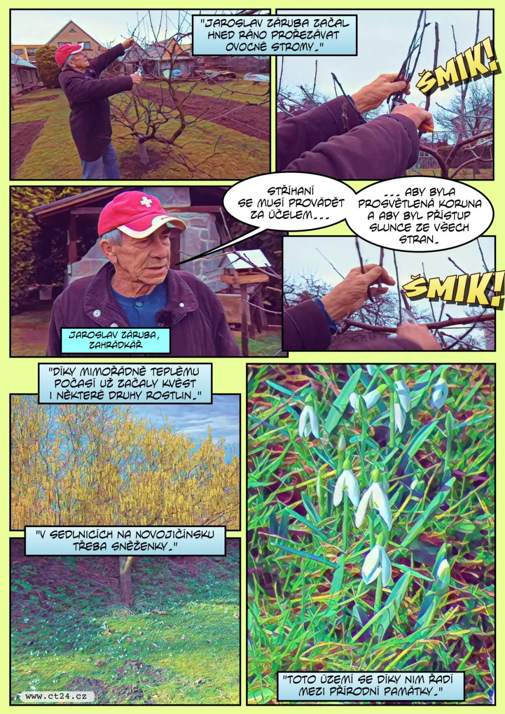 Teplé počasí nesvědčí alergikům