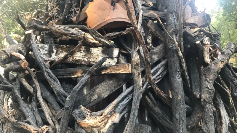 Vánoční stromek z ohořelých větví