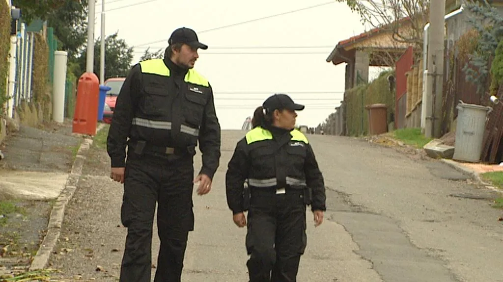 Asistenti prevence kriminality