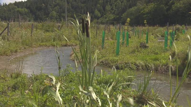 Říčka Loděnice má znovu meandry