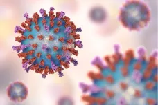 První vakcína proti RS viru ukázala v testech velmi dobré výsledky