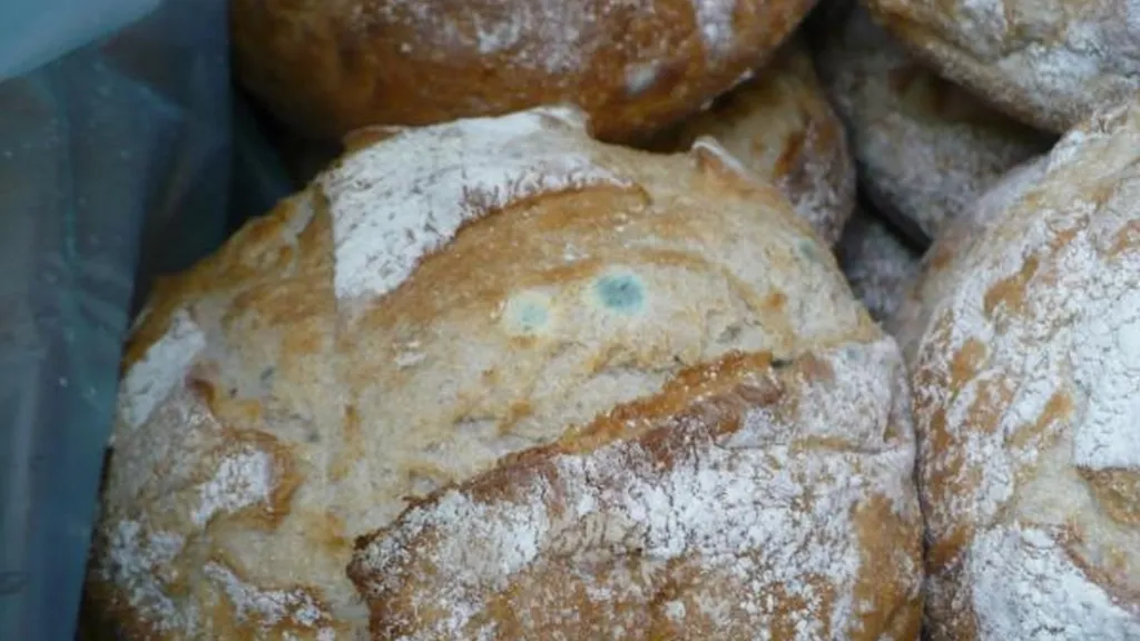 Plíseň na pečivu z litoměřického Kauflandu