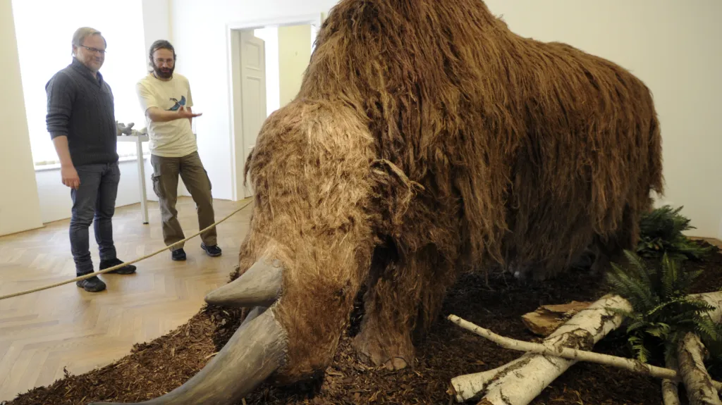 Výstava o době ledové v Muzeu města Ústí nad Labem