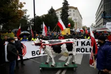 Polští zemědělci vyšli do ulic. Bojují za vývoz halal masa a hrozí, že vládu smetou 