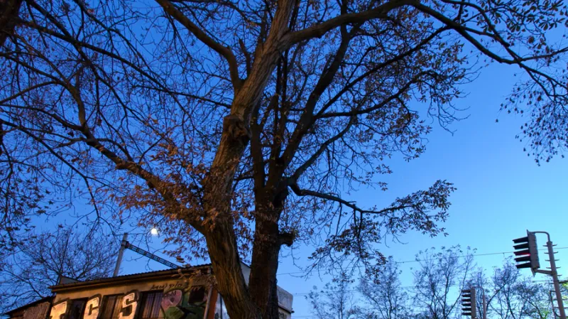 Nádraží Vyšehrad