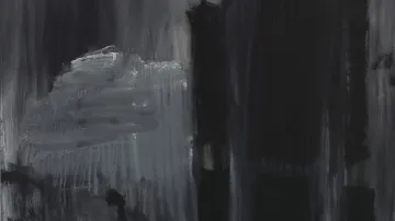 Jakub Špaňhel / Brazilská centrální banka (2009)