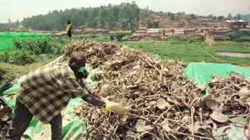 Masový hrob obětí rwandské genocidy