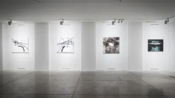 Z výstavy 15 lounských výtvarníků