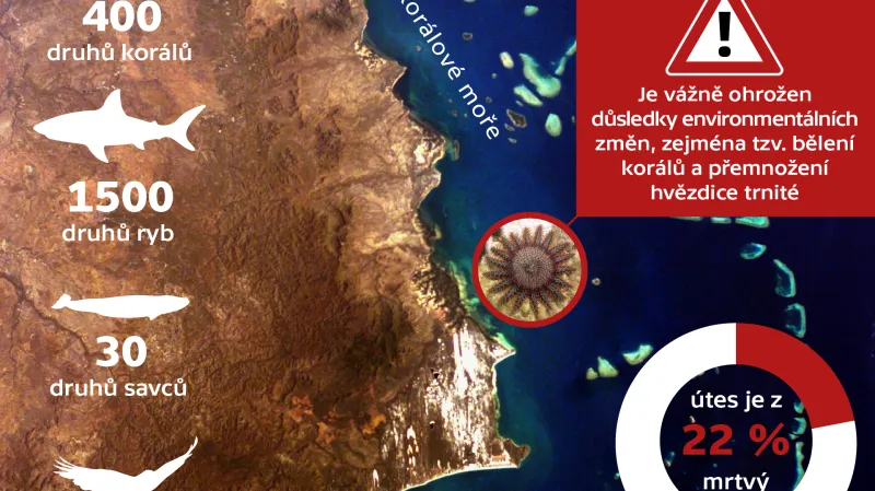 Velký bariérový útes