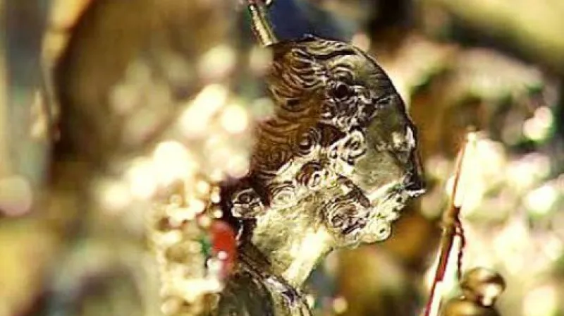 Reportáž Ivy Němcové a Luboše Rosího