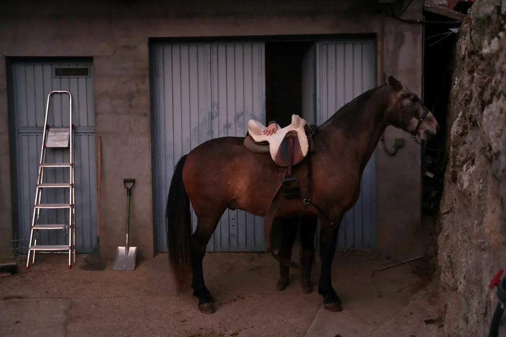 Na festival Luminarias se za ohnivou jízdou sjíždějí majitelé koní z celého Španělska. Na snímku příprava zvířete před rituálem