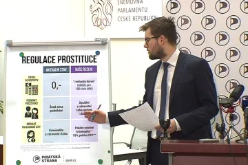 Piráti chtějí zrušit úmluvu o neexistenci prostituce. Otevře to cestu k jejímu regulování