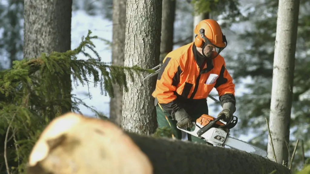 Úklid po vichřici v Českém Švýcarsku