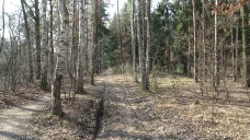 Klánovický les