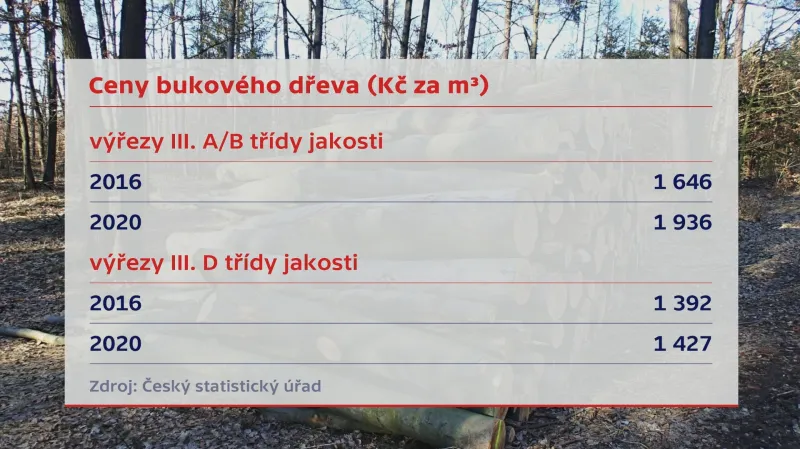 Ceny bukového dřeva