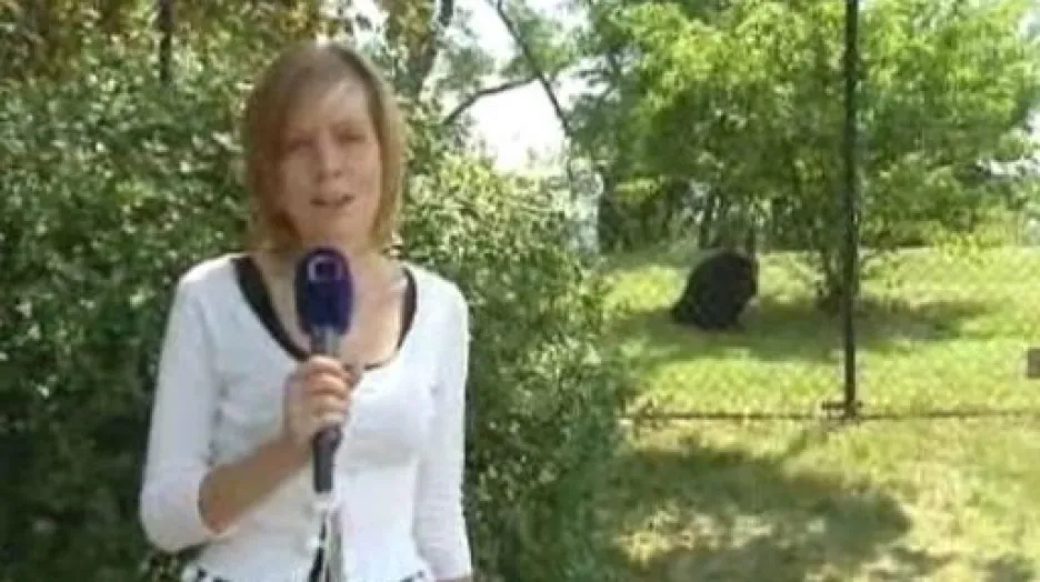 Reportáž Štěpánky Martanové