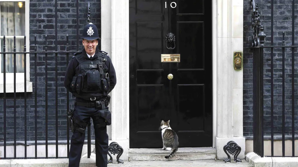 Cameronův kocour Larry před sídlem britského premiéra v Downing Street