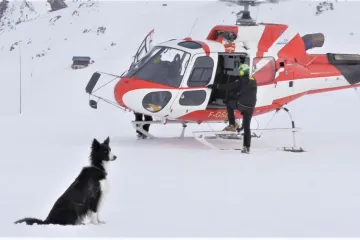 Štěkot znamená pro zavaleného lavinou naději. Psi jsou v Alpách nenahraditelní